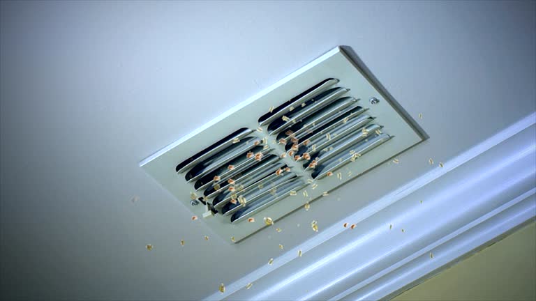 Best HVAC Duct Inspection Services  in Wathena, KS
